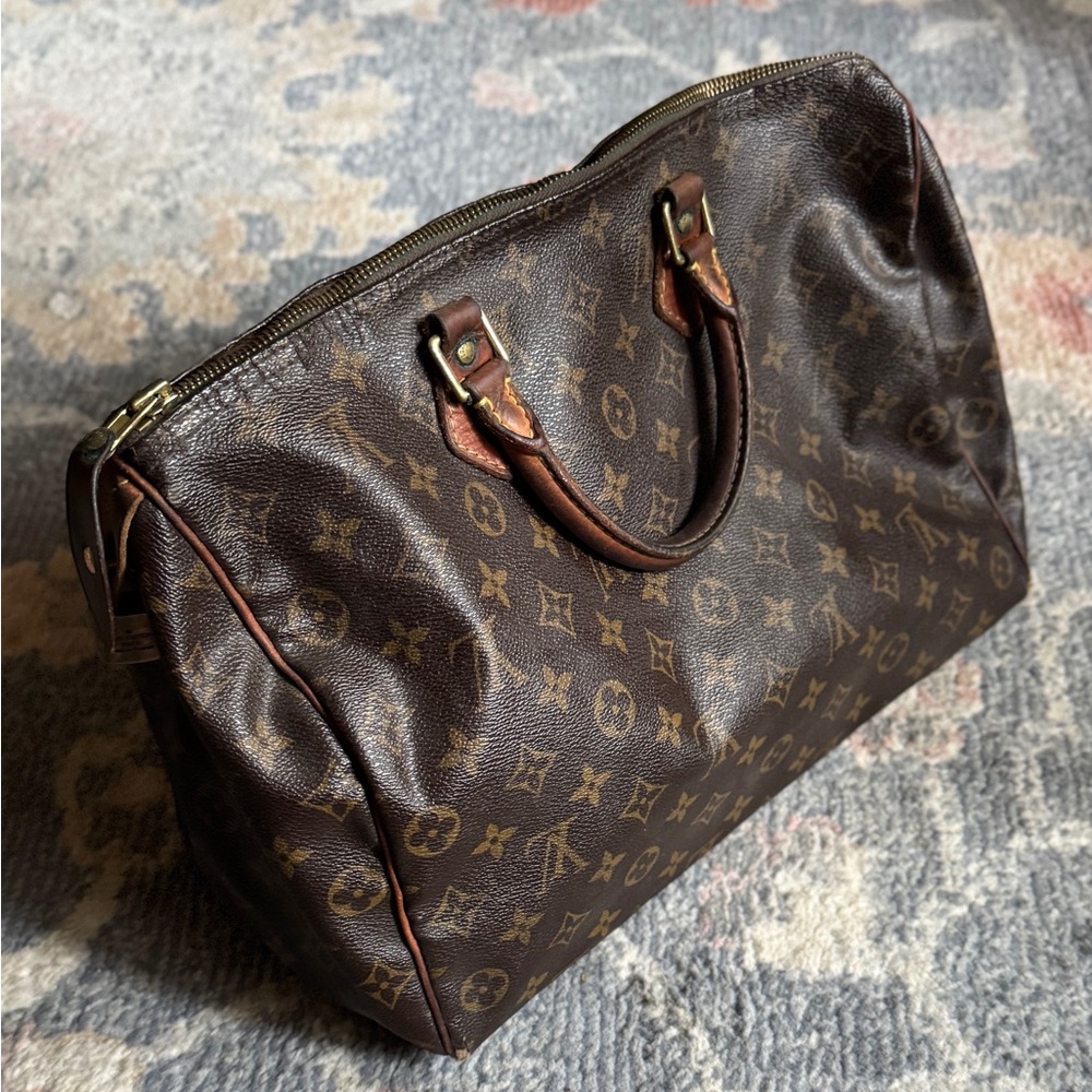 Louis Vuitton Speedy 30 project bag